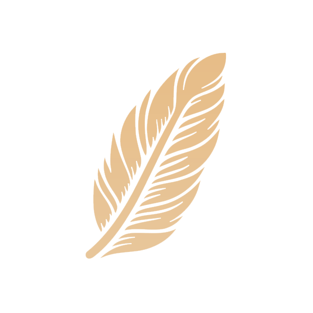 Salish Chiropractic